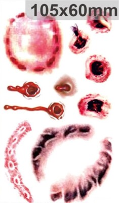 Flash Once Temporary Adhesive Tattoo Halloween Scar Blood Wound Body