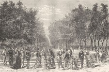 BOUCHES-DU-RH&Ocirc;NE. Marseille. Le Prado 1880 old antique vintage print picture