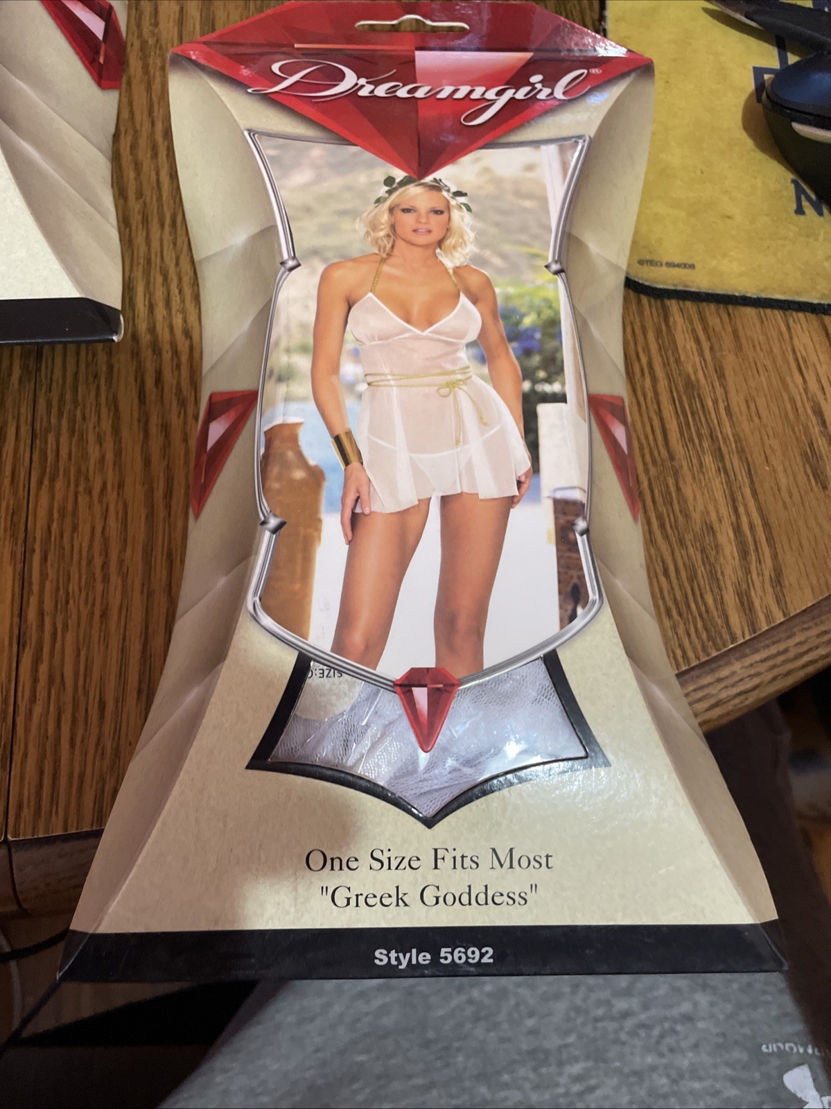 Dreamgirl + Elegant Moments One Size Fits Most Lingerie Lot Of 10 In Box 