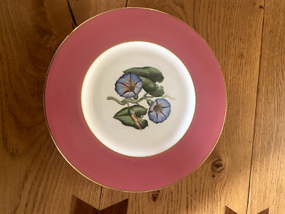 Vintage Royal Worcester großer Teller Convolvulus von A H Williamson 50er Jahre