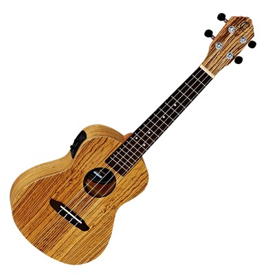 Ortega RFU11ZE Konzert Ukulele Uke Hawaii Gitarre Tonabnehmer Bag Tasche Natur