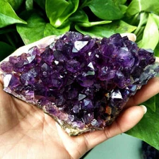 Natural Quartz Amethyst Cluster Crystal Geode Druzy Chakra Healing Ore Specimens