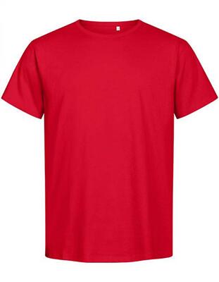 Men´s Premium-T Organic 100% zertifizierte Bio-Baumwolle  | Promodoro | 3090