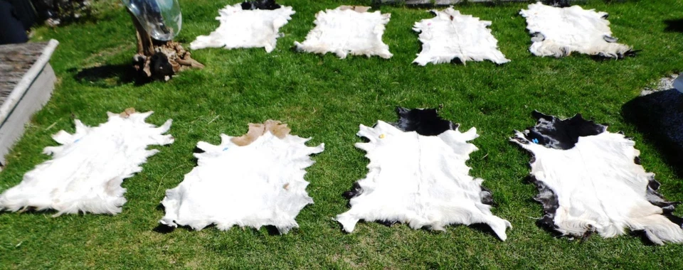 Ziegenfell * Goatskin Leather * Ziege * Teppich * Läufer * Kamin Deko - Bild 2 von 4