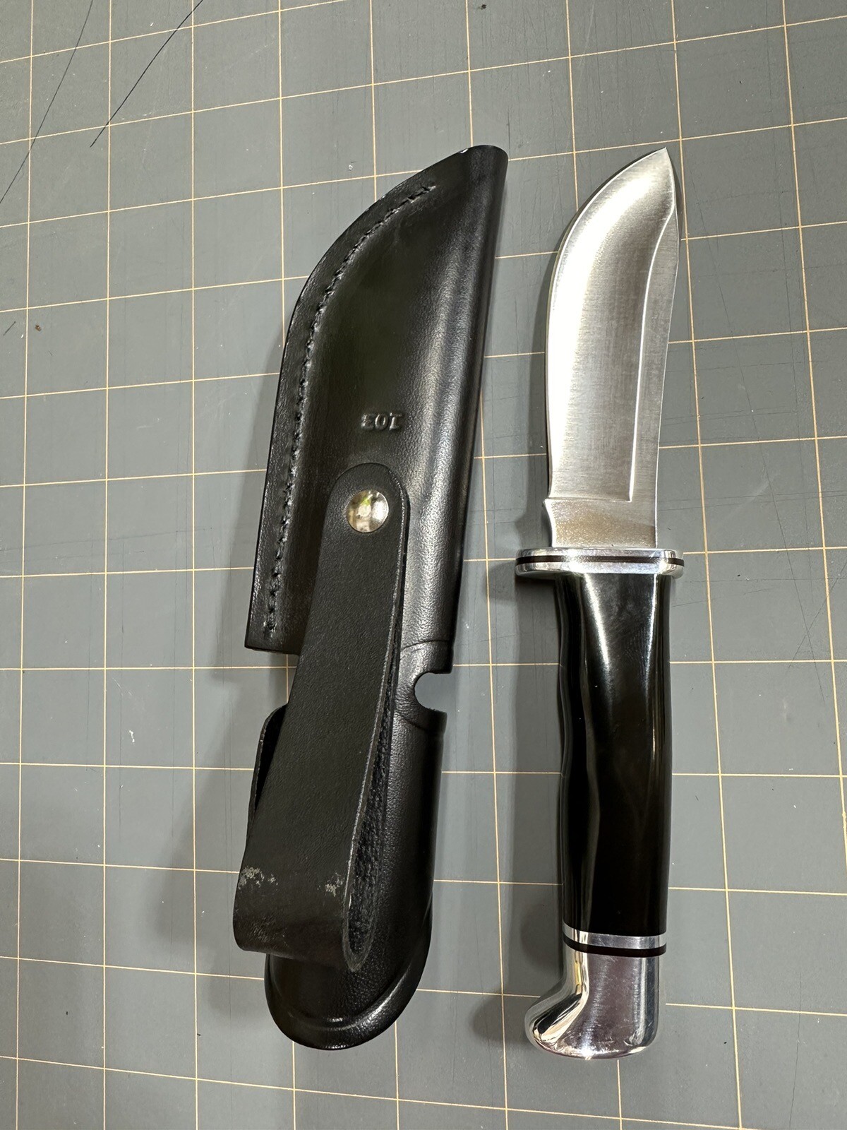 Buck 103 ProLine Skinner Knife eBay
