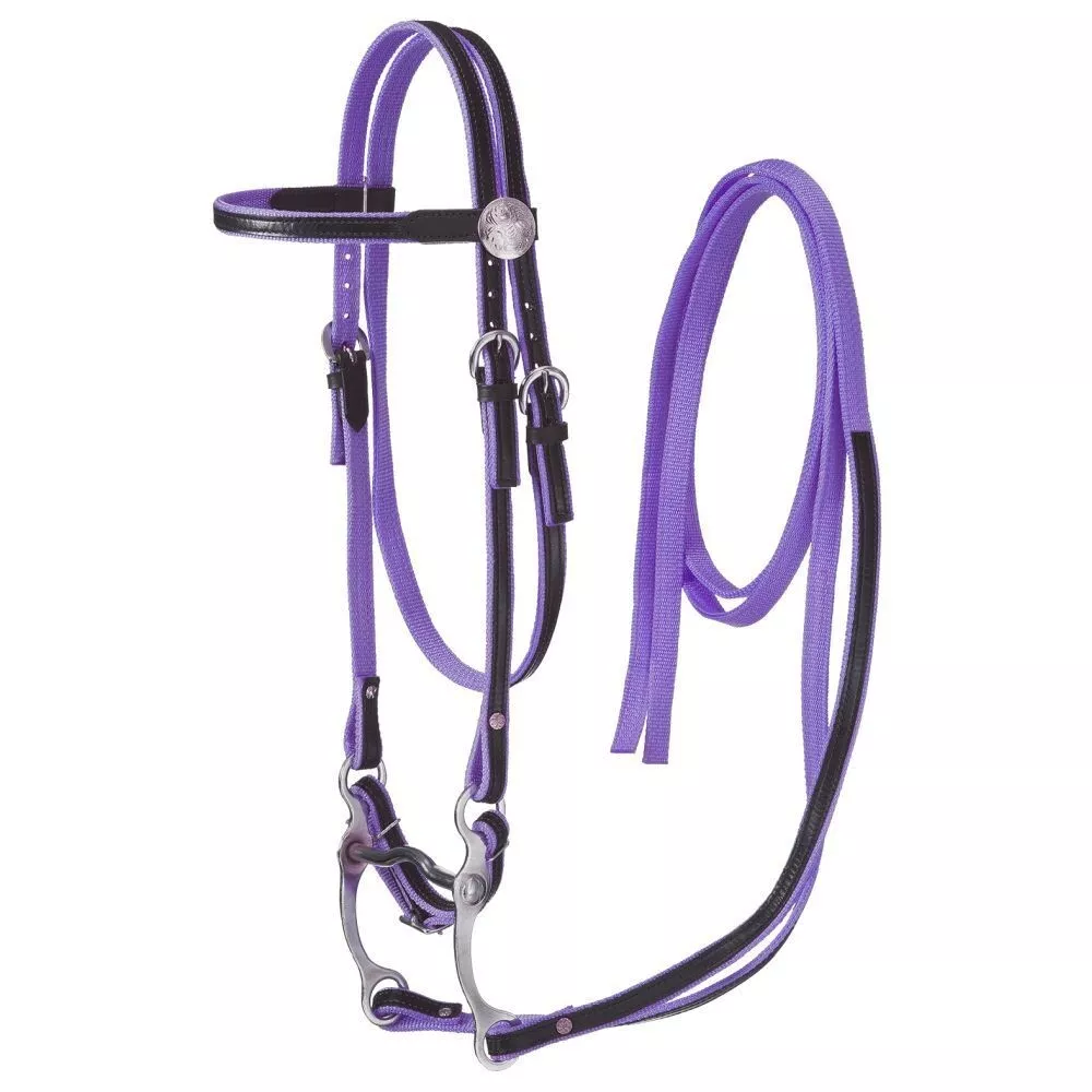King Series Purple Premium Nylon Bridle Set horse tack equine 42
