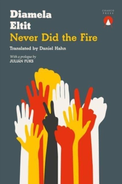 Never Did the Fire by Diamela Eltit (2022, Trade Paperback) - Image 4