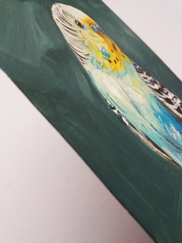 Original Oil Painting Bird Budgie 6 x 6 inches Miniature Painting Birds - Picture 3 of 6