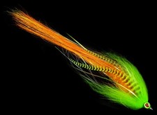 Flash Fry Minnow, FireTiger (Bass / Pike / Musky) 406Flies