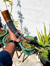 VIKING WAR HORN '18' battle trumpet crafted by houseofhandicrafts whistle sound