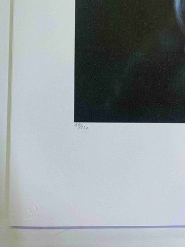 Francis Bacon litografia off set cm 50x65 edizione 250 con certificato - Picture 5 of 5