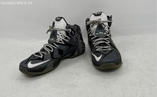 Nike LeBron 12 BHM - 718825-001 for Sale | Authenticity Guaranteed