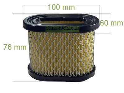 PERFETTOGIARDINO Filtro aria motore Briggs & Stratton B&S 126300 129600 12R500 / 697029 273