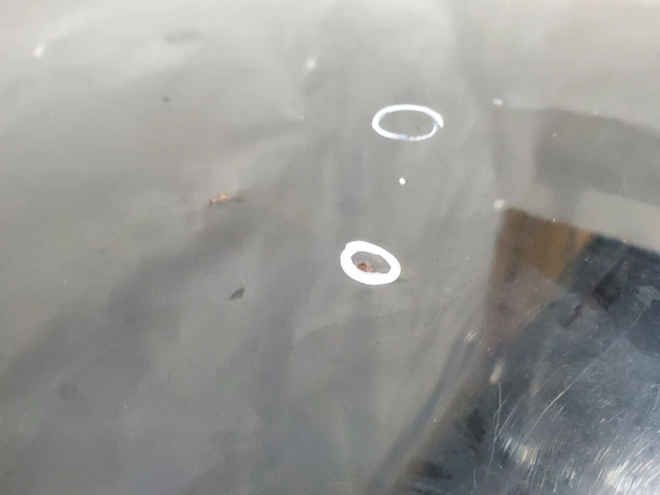 BMW 325I E30 1987 88 89 90 91 92 1993 OEM tapa maletero convertible desnudo Foto 2 de 4