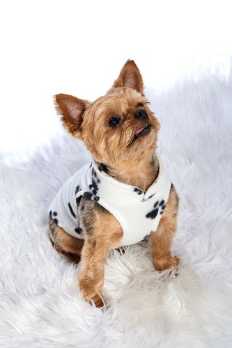 Cute Dog Clothes - Picture 3 of 21