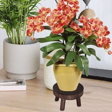 Sgabello gamba alta colore legno bruciato medio supporto piante venatura legno naturale