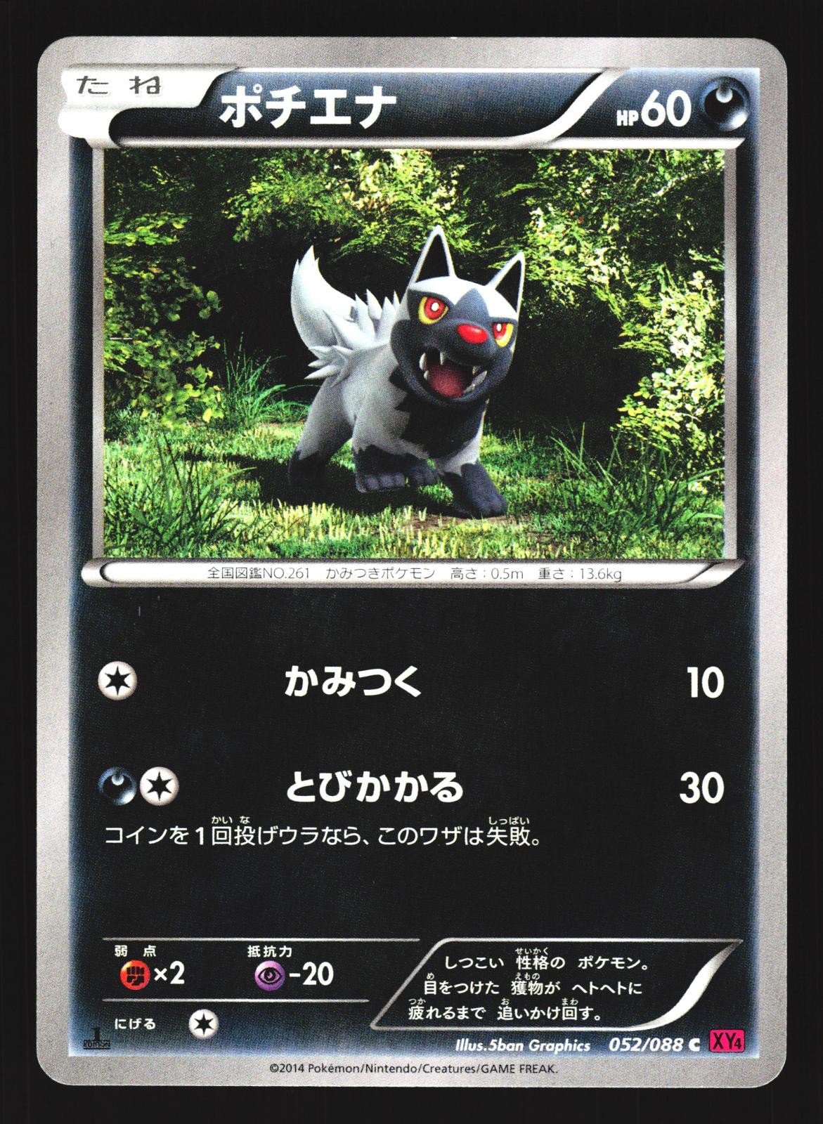 Poochyena 052/088 Common Phantom Gate XY4 2014 Pokemon Japanese Lightly Played