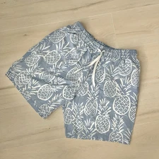 Chubbies Swim Trunks Shorts Mens Large Blue 7" Inseam Pineapple Print Mesh