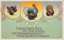 Antique Thanksgiving Embossed Large Turkey Rochester NY Cancel Vtg Postcard N9