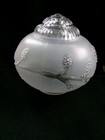 Vintage Ceiling Light  Fixture Shade Embossed Glass  Dome Embossed Grape Vine — photo 2