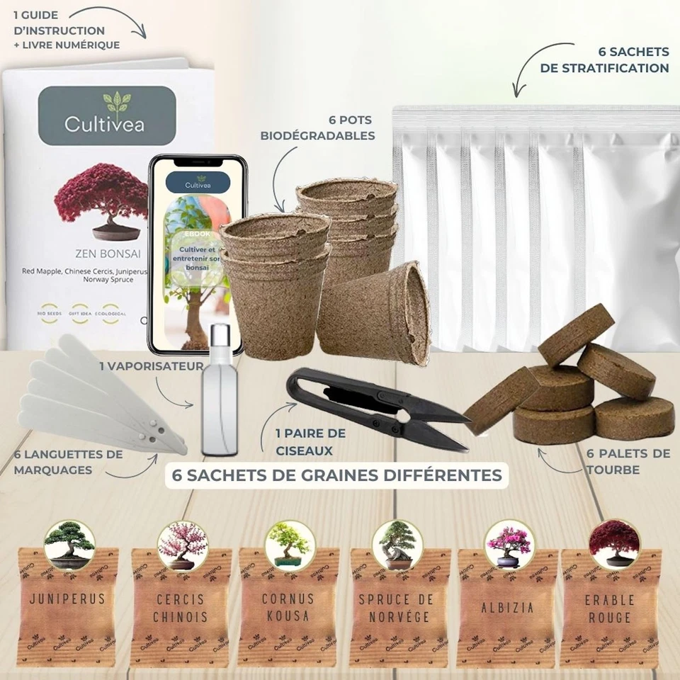 ® Mini Kit Prêt à Pousser 6 Bonsaï – Graines Françaises 100% Écologiques - Ja... - Photo 2/4