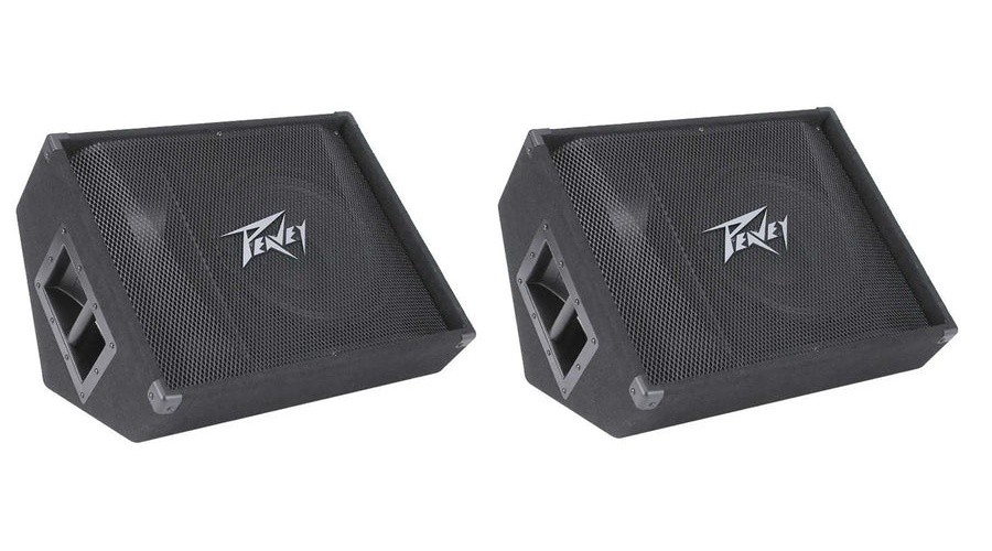 2 Peavey PV15M 15