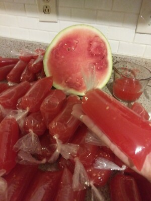 Para Bolis 8x26 Bolsa De Plastico X 26 Bolsas Para Bolis De X 26