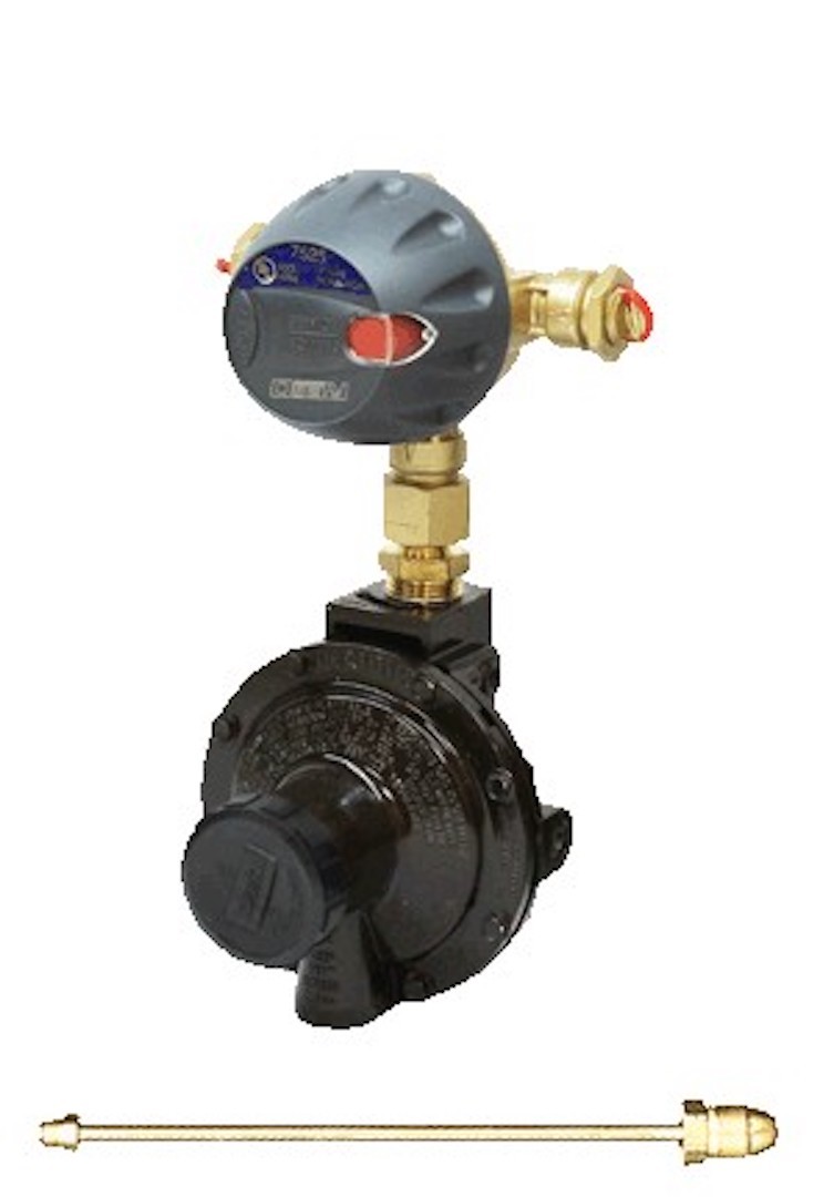Picture 1