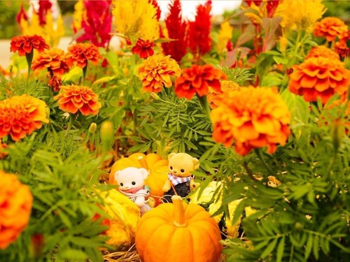 Honey bear 2.5in MIMOSA,, ORANGE,, JAPAN #260 miniature - Picture 15 of 15