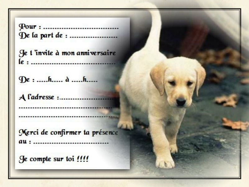 Cartes D'invitation Anniversaire REF 1038 – Lot De 5 Ou 12 – Neuves