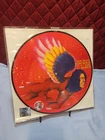 David Bowie- The Man Who Sold The World- 2016 RSD New Sealed Vinyl- Picture Disk