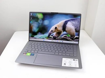 ASUS Zenbook 14 in Q407IQ-BR5N4 AMD Ryzen 5 8GB RAM NVIDIA GeForce MX350 256GB