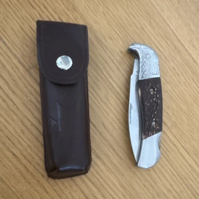 Vintage Taschenmesser mit Adlergriff, Edelstahlklinge, Ledertasche, Silber Braun - Bild 1 von 4