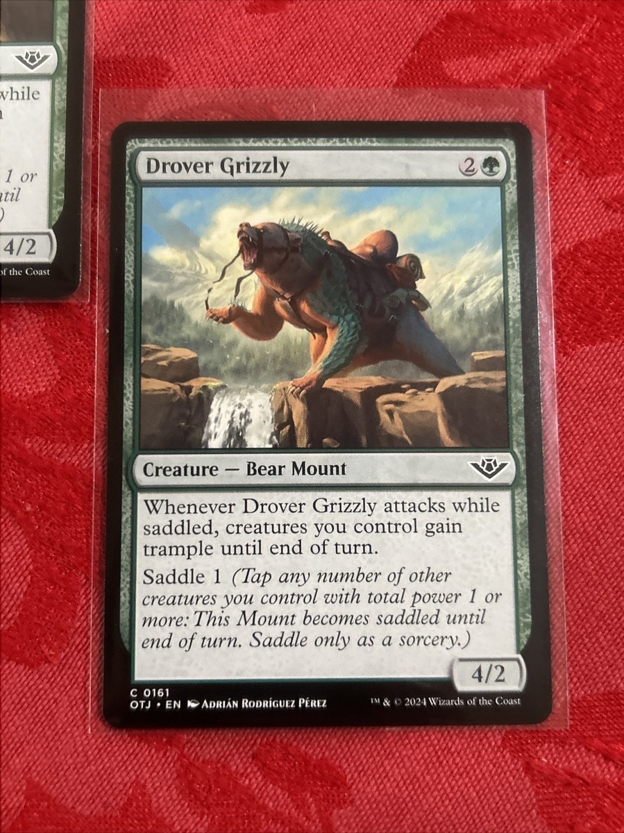 2x MTG - Drover Grizzly - Outlaws of Thunder Junction NM Magic x2