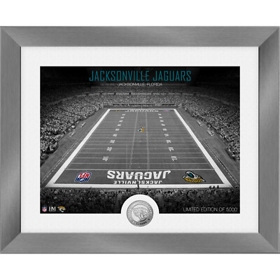 NFL Highland Mint Jacksonville Jaguars Art Deco Stadium Silver Coin Bild 40x33cm