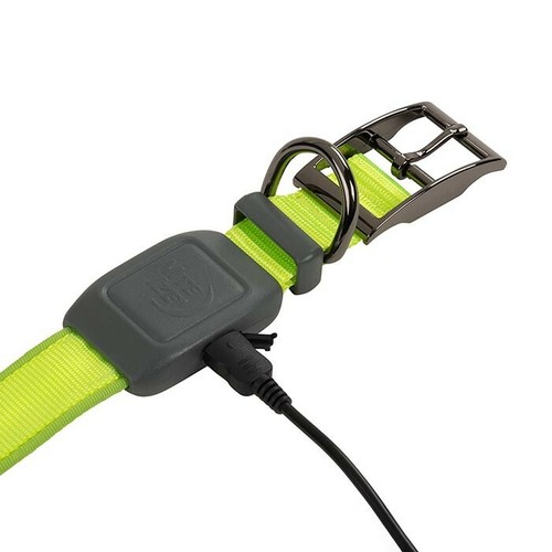 Nite Ize NiteDog USB Rechargeable LED Collar, Size Small, Color Blue, Lights Up - Picture 5 of 5