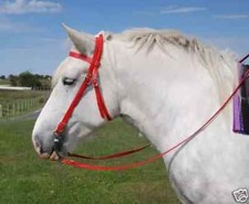 Horse -Draft Size Beta Riding Bridle with Curb Bit- Red, Blue, Purple, etc.
