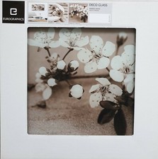 Eurographics Glasbild 30x30cm, DG-AHA2124, Frühling Orchidee Blume, NEU/OVP