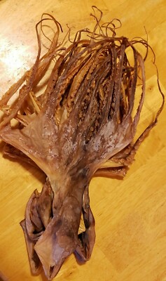   Organic Dried Octopus 5oz / 8oz  US Seller 