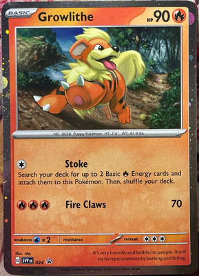 Growlithe Cosmos Holo Black Star Promo - SVP024 - Scarlet & Violet Pokemon 2023