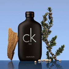 CK Be by Calvin Klein Unisex Eau de Toilette Spray 6.7 oz Fragrance