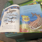 LeapFrog TAG Bundle – 5 Books, Hard Case, Manual Activity Cards Olivia Nancy — photo 9