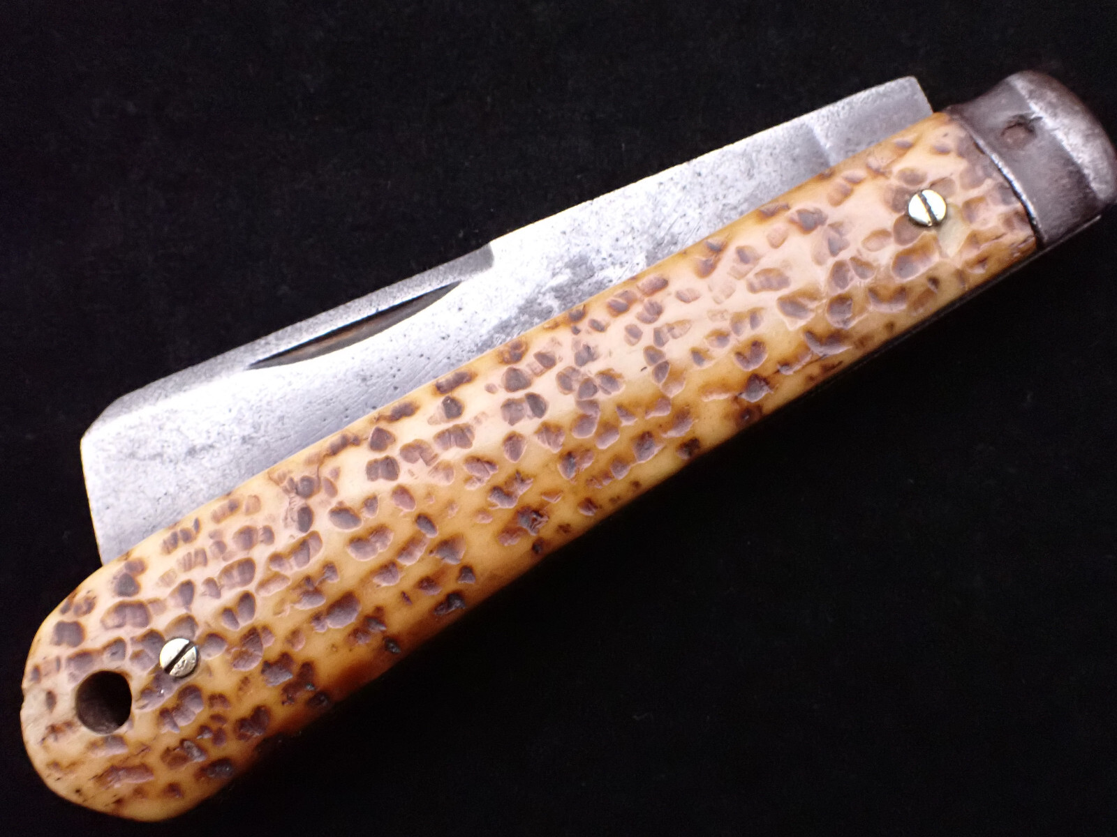 MILLER BROS. - BONE - SAILOR's - ROPE - KNIFE - c.1872-1926 - VINTAGE KNIVES