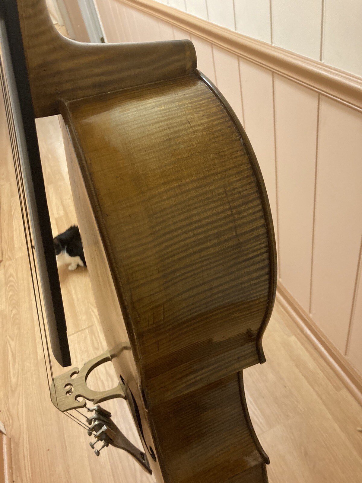 Antique Italian Cello eBay