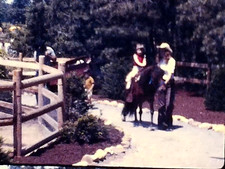Super 8 Film Long Island Game Farm 1970s Home Movie Manorville NY Petting Zoo