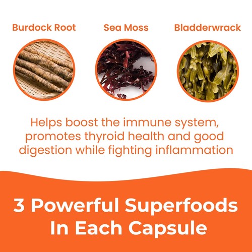 INFINITE AGE 1250mg Sea Moss Advanced Superfood Capsules 60 Count - High-Pote... - Picture 6 of 7