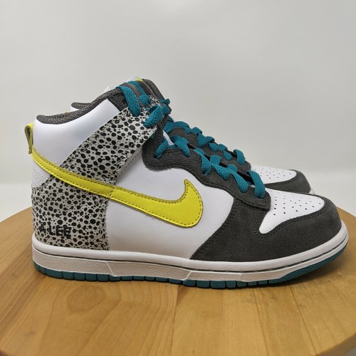 nike sb 2010