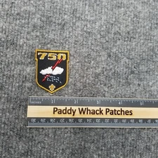 750 Thunder Cloud Boy Scout Patch
