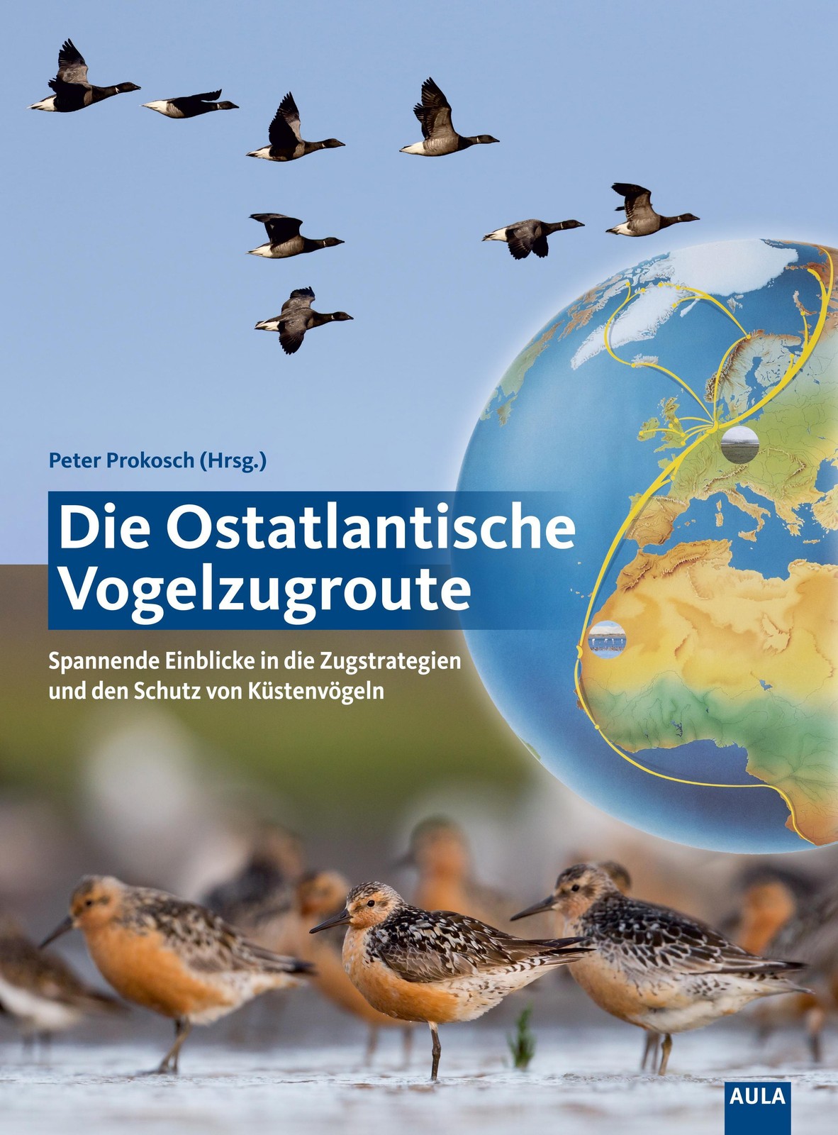 Aula-Verlag Gmbh Die Ostatlantische Vogelzugroute - Bild 3