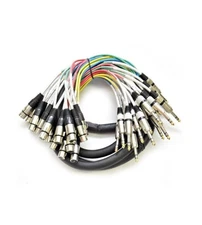 SAXT-16x10F - 16 Channel 10' XLR Female to 1/4" TRS Snake Cable